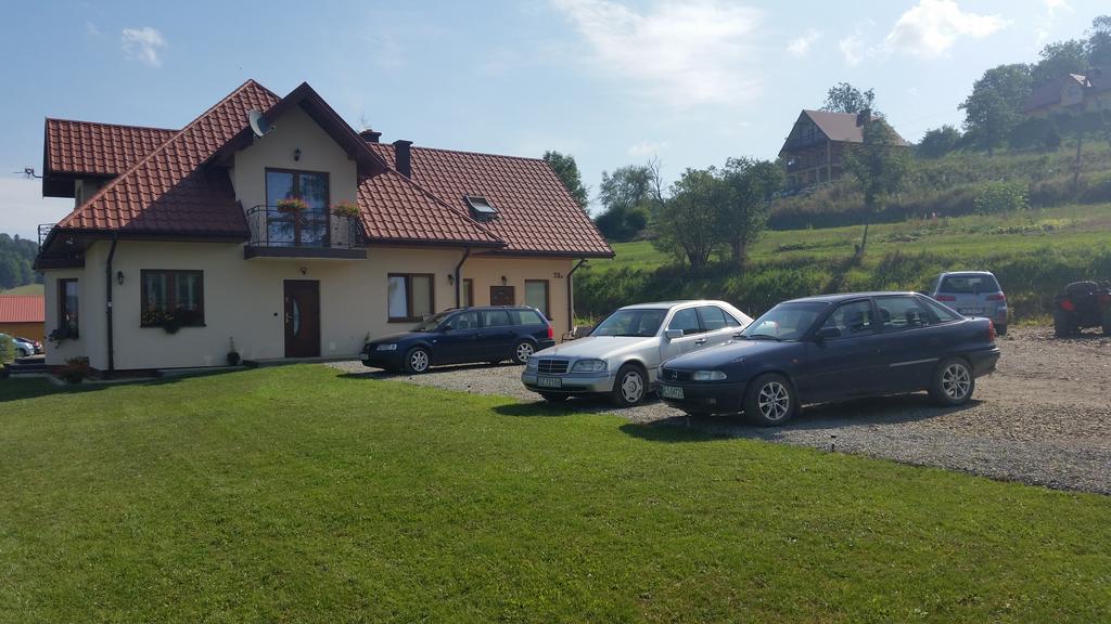 Pensjonat Na Zielonym Wzgorzu Zawóz エクステリア 写真